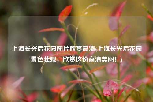 上海长兴后花园图片欣赏高清(上海长兴后花园景色壮观，欣赏这份高清美图！)